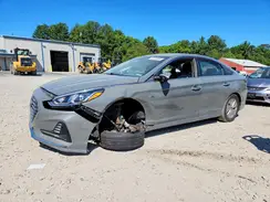 KMHE24L34KA093546 2019 HYUNDAI SONATA