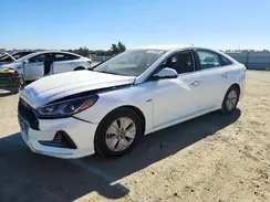 KMHE24L35KA088713 2019 HYUNDAI SONATA
