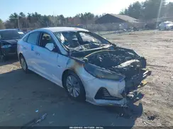 KMHE24L35KA091692 2019 HYUNDAI SONATA