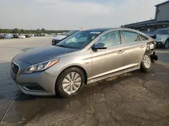 KMHE24L36HA062582 2017 HYUNDAI SONATA