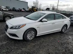 KMHE24L36HA063070 2017 HYUNDAI SONATA