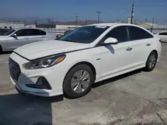KMHE24L36KA087750 2019 HYUNDAI SONATA
