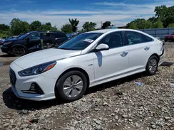 KMHE24L36KA091717 2019 HYUNDAI SONATA