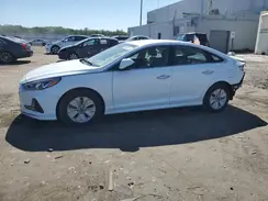 KMHE24L36KA093743 2019 HYUNDAI SONATA