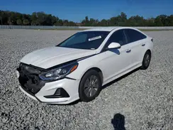 KMHE24L37KA093203 2019 HYUNDAI SONATA