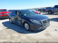 KMHE24L39HA067629 2017 HYUNDAI SONATA