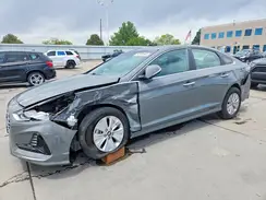 KMHE24L39KA093509 2019 HYUNDAI SONATA