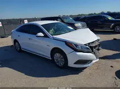 KMHE24L3XHA061323 2017 HYUNDAI SONATA