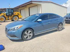 KMHE34L10GA018832 2016 HYUNDAI SONATA