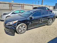 KMHE34L10GA020628 2016 HYUNDAI SONATA