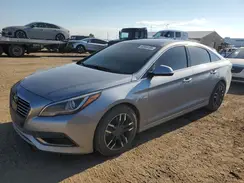 KMHE34L10GA027322 2016 HYUNDAI SONATA