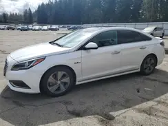 KMHE34L10GA029698 2016 HYUNDAI SONATA