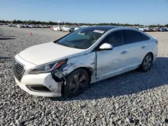 KMHE34L11GA008309 2016 HYUNDAI SONATA