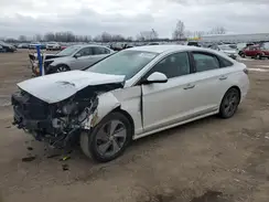KMHE34L11GA017267 2016 HYUNDAI SONATA