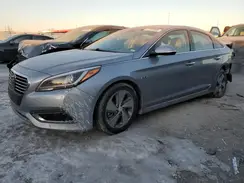 KMHE34L12GA026351 2016 HYUNDAI SONATA