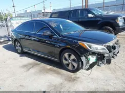 KMHE34L12HA044804 2017 HYUNDAI SONATA