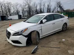 KMHE34L12HA057567 2017 HYUNDAI SONATA