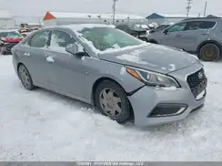 KMHE34L13GA007842 2016 HYUNDAI SONATA