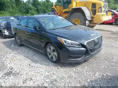 KMHE34L13GA008487 2016 HYUNDAI SONATA