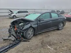 KMHE34L13GA019344 2016 HYUNDAI SONATA