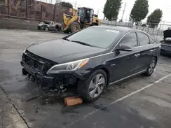 KMHE34L14GA009664 2016 HYUNDAI SONATA