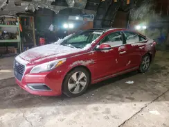 KMHE34L16GA019242 2016 HYUNDAI SONATA