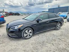 KMHE34L16HA045079 2017 HYUNDAI SONATA