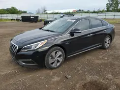 KMHE34L16HA047821 2017 HYUNDAI SONATA