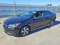 KMHE34L16HA048967 2017 HYUNDAI SONATA