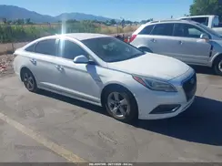 KMHE34L17GA026703 2016 HYUNDAI SONATA