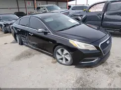 KMHE34L19GA017629 2016 HYUNDAI SONATA
