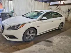 KMHE34L1XGA014349 2016 HYUNDAI SONATA