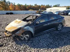 KMHE34L1XGA016683 2016 HYUNDAI SONATA
