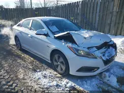 KMHE34L1XGA017381 2016 HYUNDAI SONATA
