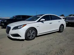 KMHE34L1XGA028770 2016 HYUNDAI SONATA