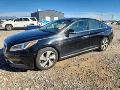 KMHE34L1XHA051614 2017 HYUNDAI SONATA