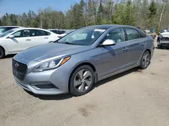 KMHE34L1XHA051788 2017 HYUNDAI SONATA