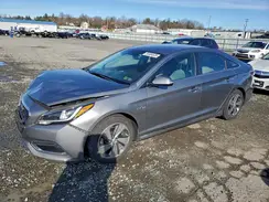 KMHE34L1XHA056165 2017 HYUNDAI SONATA