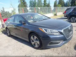 KMHE34L31HA077231 2017 HYUNDAI SONATA