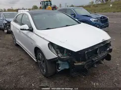 KMHE34L31KA091864 2019 HYUNDAI SONATA