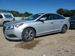 KMHE34L32HA065606 2017 HYUNDAI SONATA