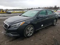 KMHE34L32HA075665 2017 HYUNDAI SONATA