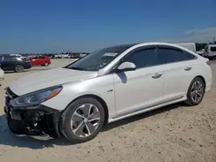KMHE34L33KA092787 2019 HYUNDAI SONATA