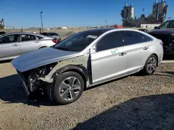 KMHE34L34KA088781 2019 HYUNDAI SONATA