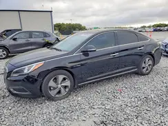 KMHE34L35HA066524 2017 HYUNDAI SONATA