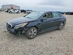 KMHE34L35HA067592 2017 HYUNDAI SONATA