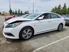 KMHE34L36HA071537 2017 HYUNDAI SONATA