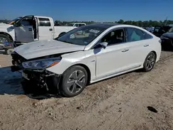 KMHE34L36KA093643 2019 HYUNDAI SONATA