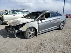KMHE34L37HA069117 2017 HYUNDAI SONATA
