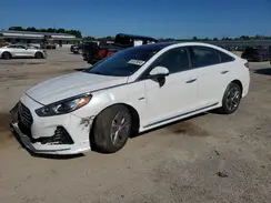 KMHE34L37KA087642 2019 HYUNDAI SONATA